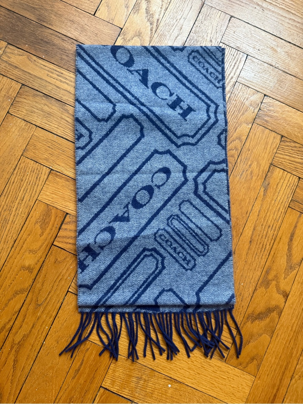 Coach Reversible Blue Logo Jacquard Winter Scarf